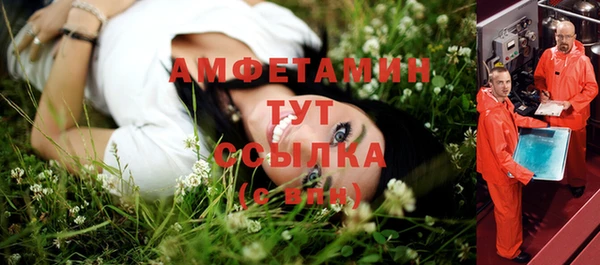 ECSTASY Алзамай