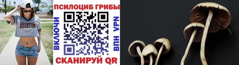 ссылка на мегу   Чапаевск  Галлюциногенные грибы прущие грибы 